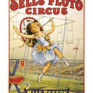 sells fluto CIRCUS vintage french CIRCUS POSTER acrobatics high wire 20x30