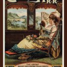 railroad VINTAGE AD POSTER United States 1885 20x30 OLD FASHIONED valuable