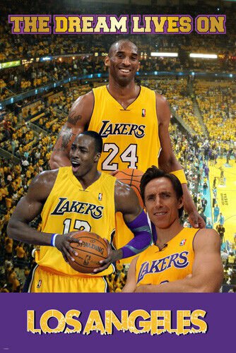 BASKETBALL POSTER Kobe Bryant Dwight Howard Steve Nash RARE HOT NEW 20x30
