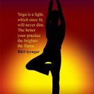 tree yoga pose INSPIRATIONAL QUOTE POSTER by  BK IYENGAR 20x30 hot NEW!