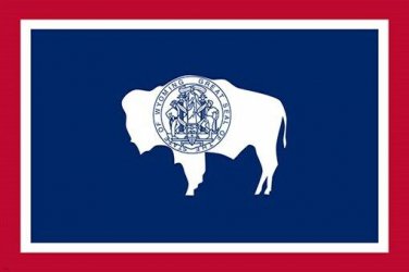 WYOMING STATE FLAG POSTER official historic symbolic collectors 20x30 RARE