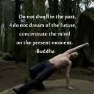 YOGA in mossy wood INSPIRATIONAL poster BUDDHA QUOTE strong pose 20x30 RARE