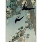 bertha boynton lum THE LAND OF THE BLUEBIRD vintage 1916 poster 20x30 NEW!