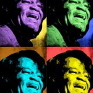 JAMES BROWN celebrity singer MULTIPLE IMAGE pop art poster 20x30 SOUL funk