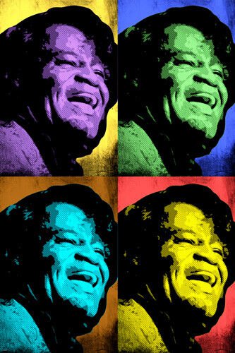 JAMES BROWN celebrity singer MULTIPLE IMAGE pop art poster 20x30 SOUL funk