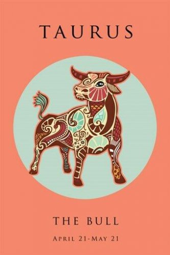 TAURUS astrology art poster 20x30 SYMBOLIC ZODIAC the bull CLASSIC UNIQUE