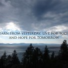 quiet forest view inspirational wisdom poster 20x30 LEARN LIVE HOPE soothing