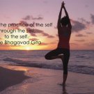 TREE POSE YOGA POSTER inspirational QUOTE MOTIVATIONAL sunset ocean 20x30