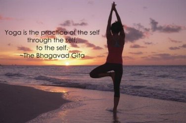 TREE POSE YOGA POSTER inspirational QUOTE MOTIVATIONAL sunset ocean 20x30