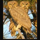 Wisdom Owl definition quote INSPIRATIONAL POSTER 20x30 positive thinking