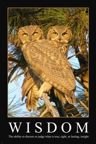 Wisdom Owl definition quote INSPIRATIONAL POSTER 20x30 positive thinking