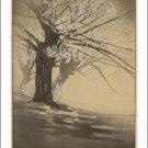 ABSTRACT TREE vintage art poster BERTHA BOYNTON LUM nature 20x30 FIRST RATE ABSTRACT TREE vintage art poster BERTHA BOYNTON LUM nature 20x30 FIRST RATE