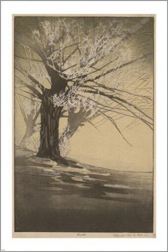 ABSTRACT TREE vintage art poster BERTHA BOYNTON LUM nature 20x30 FIRST RATE