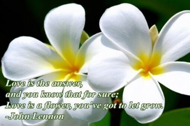LOVE IS THE ANSWER John Lennon quote POP LEGEND poster 20x30 INSPIRATIONAL
