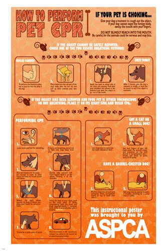 PET CPR INSTRUCTIONAL POSTER 20x30 unique educational animal-friendly HOT NEW
