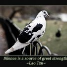B&W Pigeon LAO TZU INSPIRATIONAL POSTER Simple Quote 20x30 POETIC GRACEFUL
