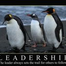 PENGUINS leadership motivational POSTER 20x30 self empowerment