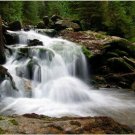 CLASSIC WATERFALL nature photo poster OUTDOORS rocks evergreens 20x30 NEW