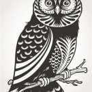 artistic OWL illustration VINTAGE art poster ANIMAL sketch COLLECTORS 20x30