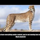 MARIO ANDRETTI self empowerment quote MOTIVATIONAL POSTER 20x30 cheetah