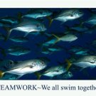 School Of Fish MOTIVATIONAL POSTER 20x30 Teamwork LEADERSHIP achievement