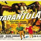 spooky TARANTULA movie poster SPIDER INVASION human nightmare ACTION 20x30