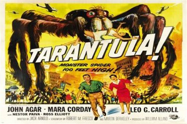 spooky TARANTULA movie poster SPIDER INVASION human nightmare ACTION 20x30