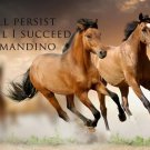 INSPIRATIONAL POSTER horse running 20x30 OG MANDINO QUOTE persistance SUCCESS