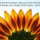 sunflower INSPIRATIONAL POSTER JOHN LENNON QUOTE classic music 1973 20x30