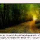DESTINY path MOTIVATIONAL poster 20x30 FALL colors FOREST inspiration