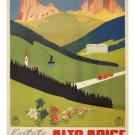 Alto Adige Date Estate Poster 1940 Beautiful Countryside 20x30 Prized