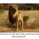 Motivational LION FOOTPRINTS POSTER African Proverb 20x30 ANIMAL wisdom
