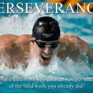 PERSEVERANCE motivation POSTER 20x30 TENACITY determination WISE WORDS