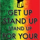 stand UP for your RIGHTS motivational CIVIL ACTION POSTER colorful 20x30
