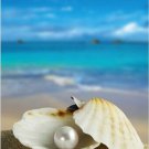 CLAM SHELL AND PEARL beautiful turquoise ocean blue sky collectors 20x30 NEW