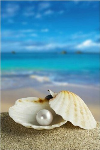 CLAM SHELL AND PEARL beautiful turquoise ocean blue sky collectors 20x30 NEW