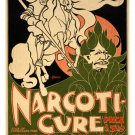 art nouveau vintage AD POSTER for NARCOTI CHEMICAL 1895 collectors 20x30