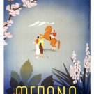 Vintage Merano TRAVEL POSTER 20x30 COLLECTORS