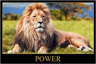 POWER POSTER featuring MAJESTIC RECLINING LION beautiful mane AFRICA 20x30