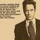 robert downey jr. actor celebrity PHOTO QUOTE POSTER picky little bitch HOT robert downey jr. actor celebrity PHOTO QUOTE POSTER picky little bitch HOT
