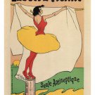 Figaro detergent VINTAGE AD POSTER léo gausson 1893 france 20x30 rare PRIZED