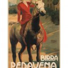 BEER PEDAVENA VINTAGE AD POSTER fritz erler italy 20x30 collectors hot RARE