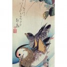 MANDARIN DUCK WOODCUT  Japanese fine art print POSTER 20x30 DUCKS COLORFUL