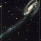 THE TADPOLE GALAXY hubble space telescope image POSTER 20x30 rare AMAZING