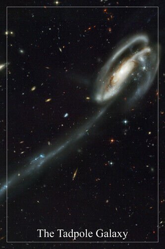 THE TADPOLE GALAXY hubble space telescope image POSTER 20x30 rare AMAZING