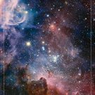 the Carina nebula's HIDDEN SECRETS Hubble SPACE IMAGE poster 20x30 STARS
