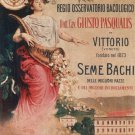 Regio Osservatorio Bacologico VINTAGE AD POSTER Majetta ITALY 1910 rare hot