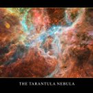 THE TARANTULA NEBULA hubble space telescope image POSTER 20x30 massive stars