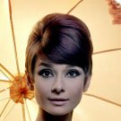 AUDREY HEPBURN FRESH head shot with umbrella poster COLLECTIBLE rare 20x30