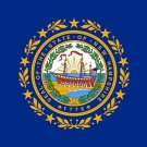 NEW HAMPSHIRE official flag POSTER political COLLECTORS symbolic 20x30 HOT